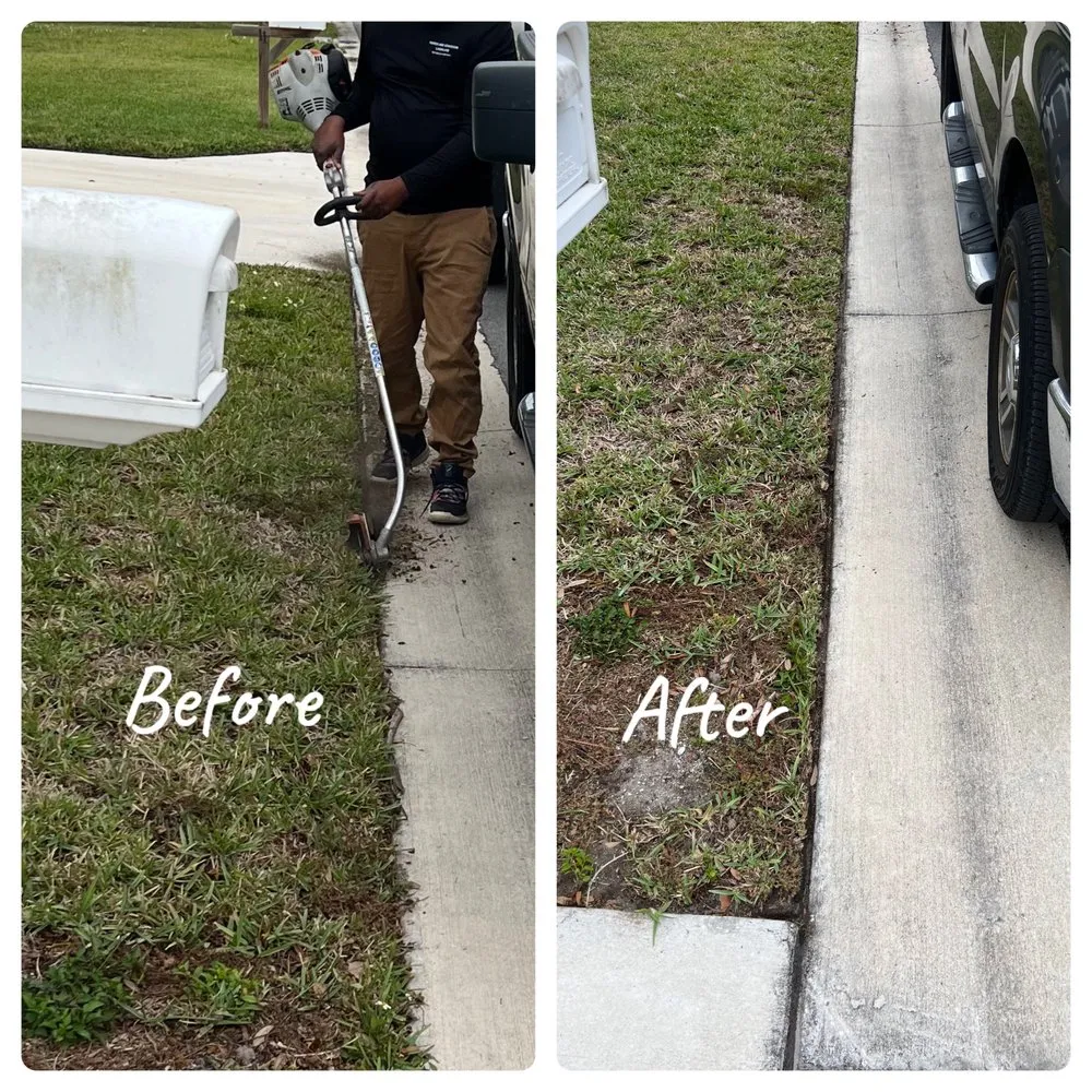 Top-rated landscaping services in Tampa Bay, FL - Harris and Grandosn  Lawncare