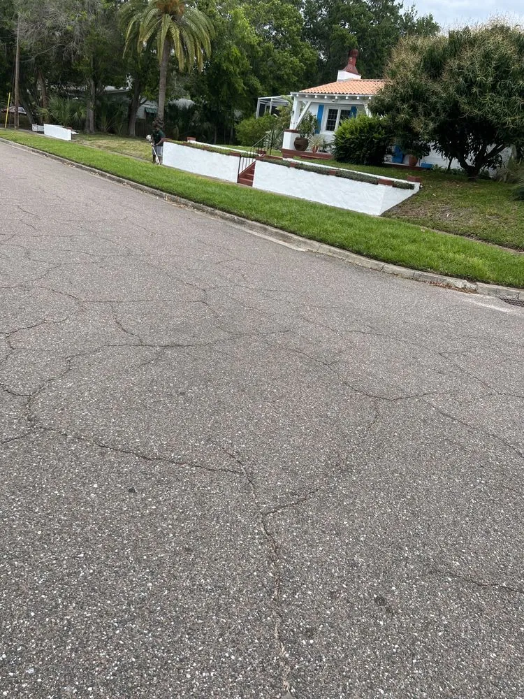 Professional lawn care service experts serving Tampa Bay, FL - Harris and Grandosn  Lawncare