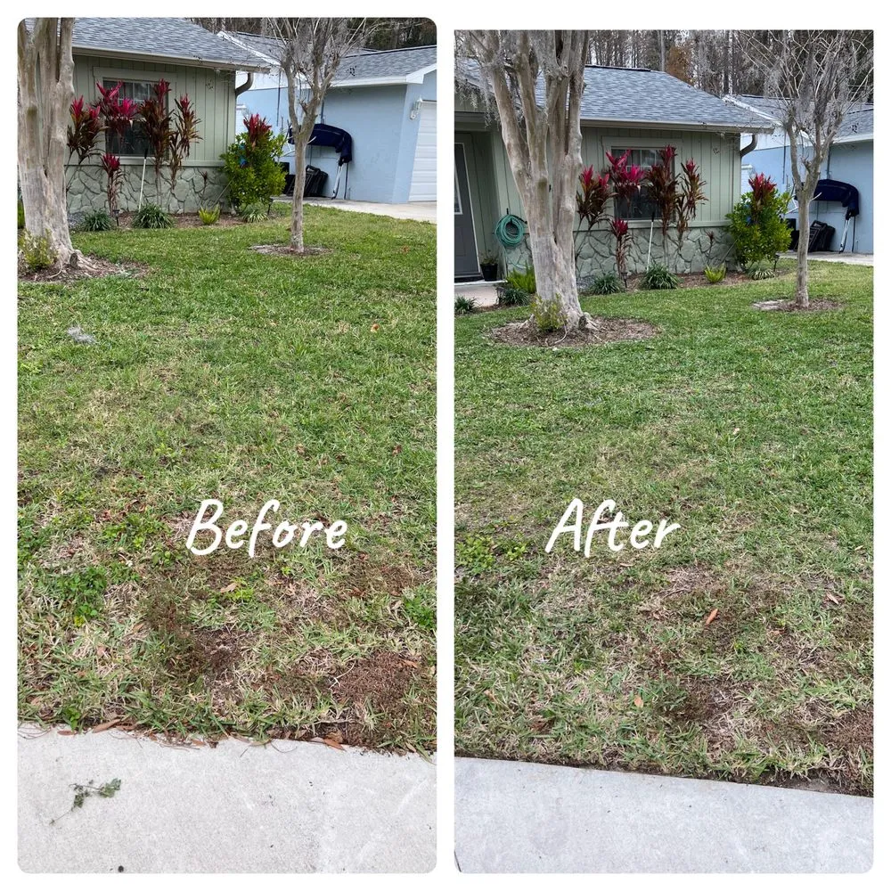 Reliable garden landscaping experts serving Tampa Bay, FL - Harris and Grandosn  Lawncare