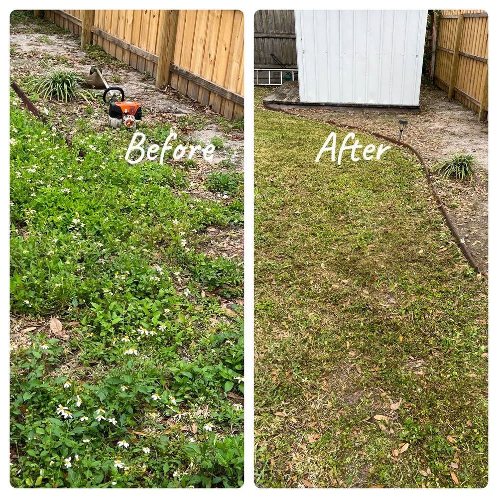 Affordable garden landscaping with custom design across Tampa Bay, FL - Harris and Grandosn  Lawncare