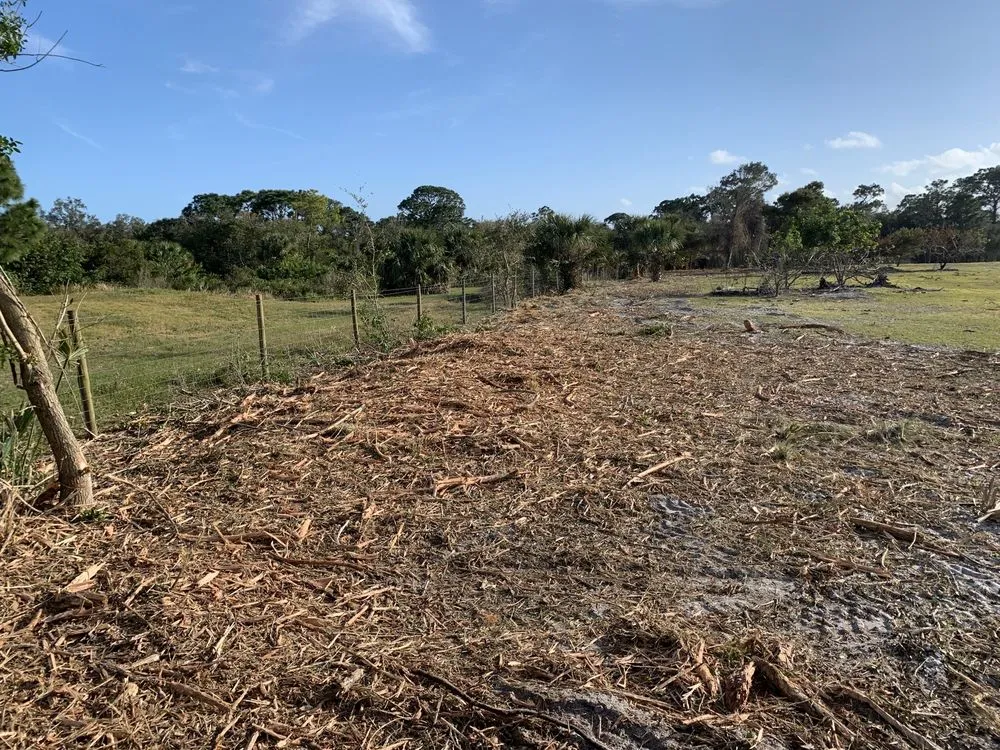 Trusted outdoor landscaping in Melbourne, FL by Harris Establishment