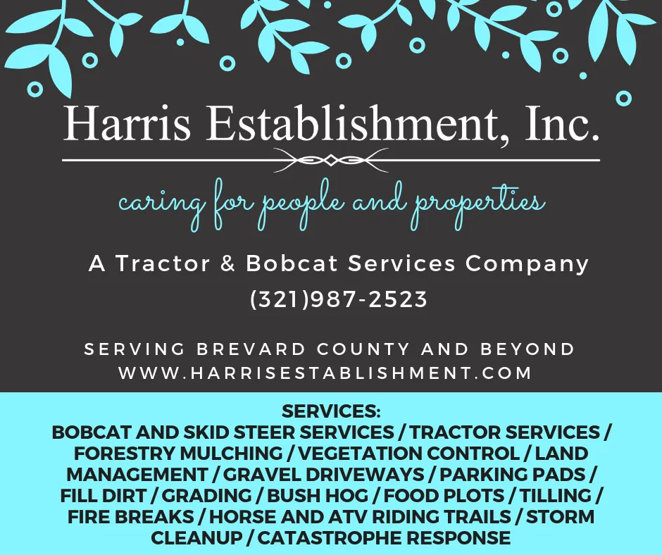 Local outdoor landscaping for residential properties in Melbourne, FL by Harris Establishment