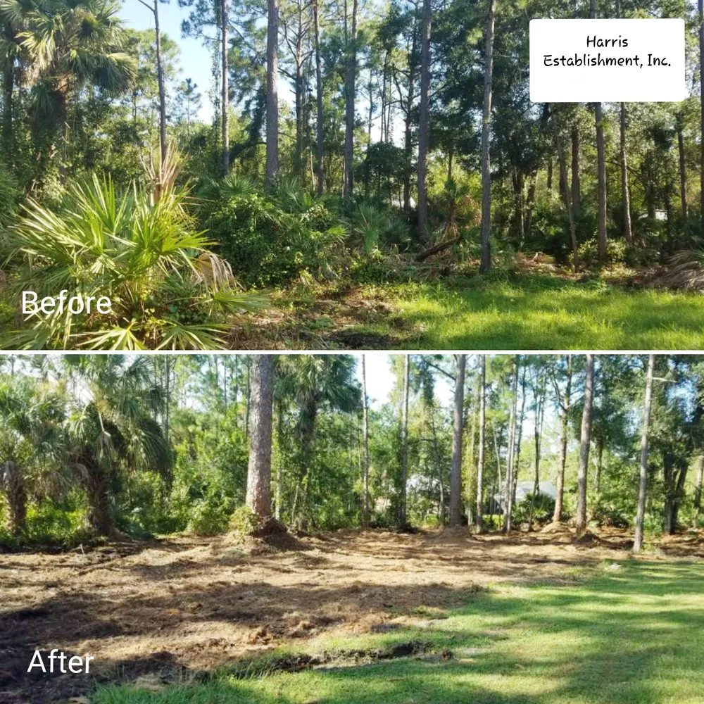 Affordable landscape design in Melbourne, FL - Harris Establishment