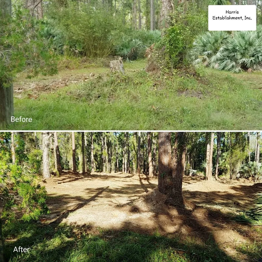 Affordable lawn care service near you across Melbourne, FL - Harris Establishment