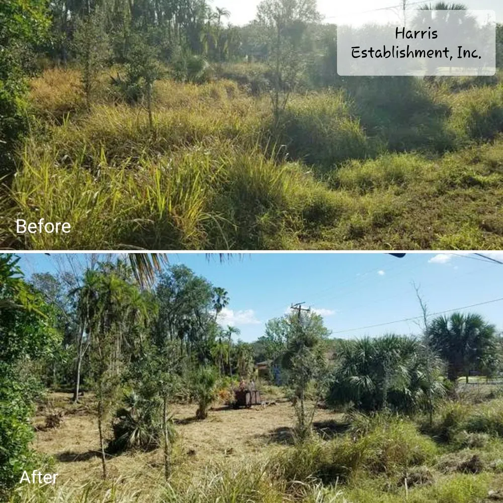 Affordable landscaping services experts serving Melbourne, FL - Harris Establishment