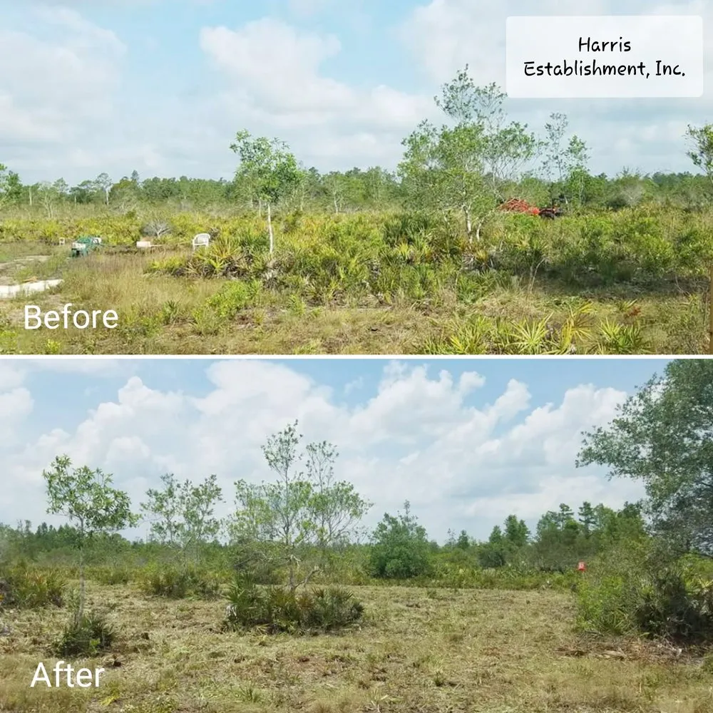 Reliable garden landscaping with custom design across Melbourne, FL - Harris Establishment