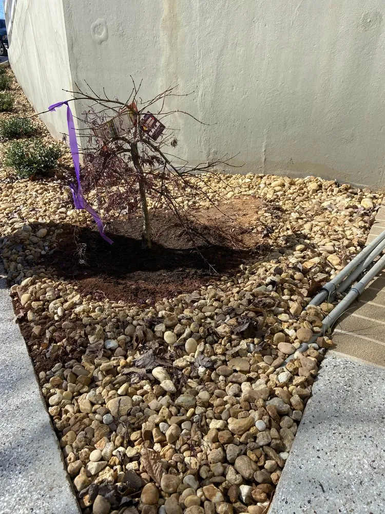 Expert landscape design for outdoor upgrades in Griffin, GA by Harris Landscape & Design