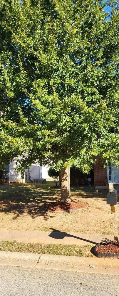 Reliable lawn mowing service near you across Griffin, GA - Harris Landscape & Design