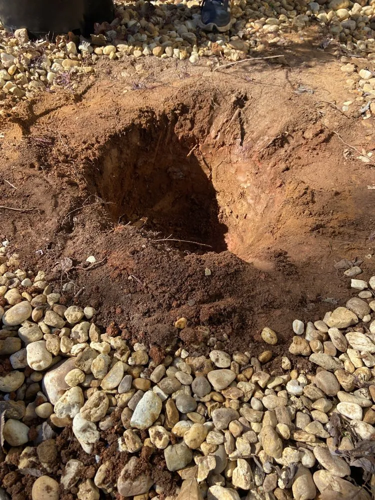 Trusted garden landscaping near you in Griffin, GA by Harris Landscape & Design