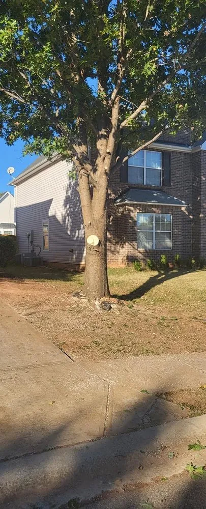 Trusted landscaping services experts serving Griffin, GA - Harris Landscape & Design