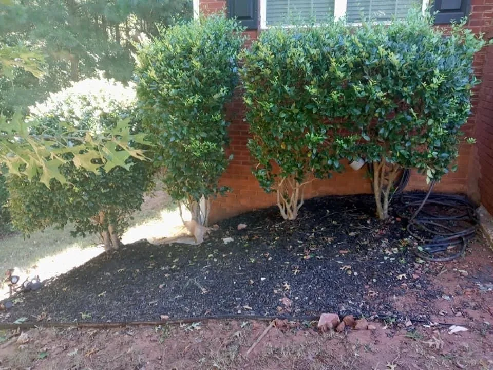 Trusted landscape design experts serving Griffin, GA - Harris Landscape & Design