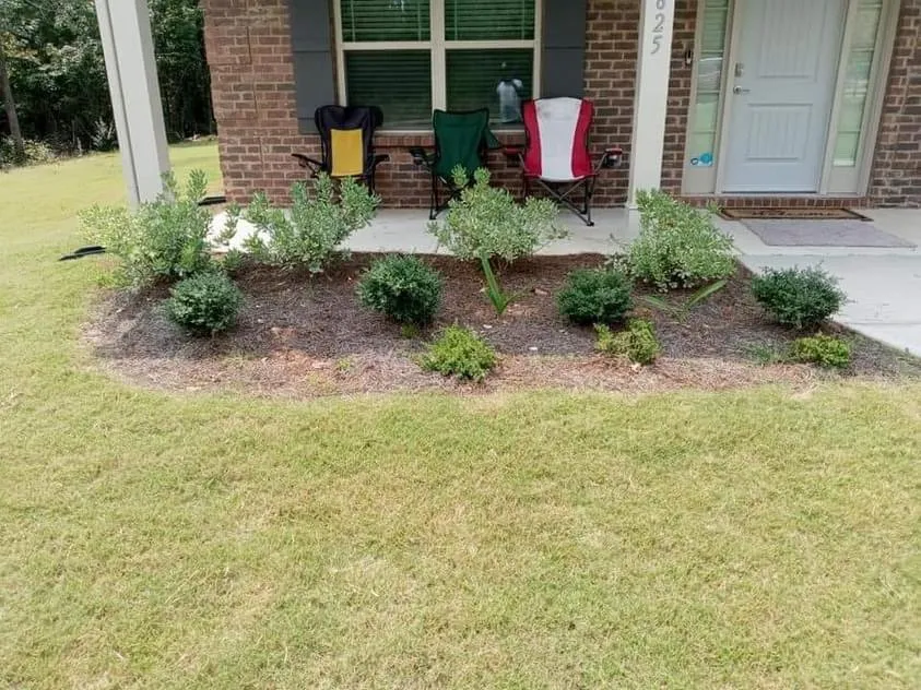 Expert yard cleanup service experts serving Griffin, GA - Harris Landscape & Design