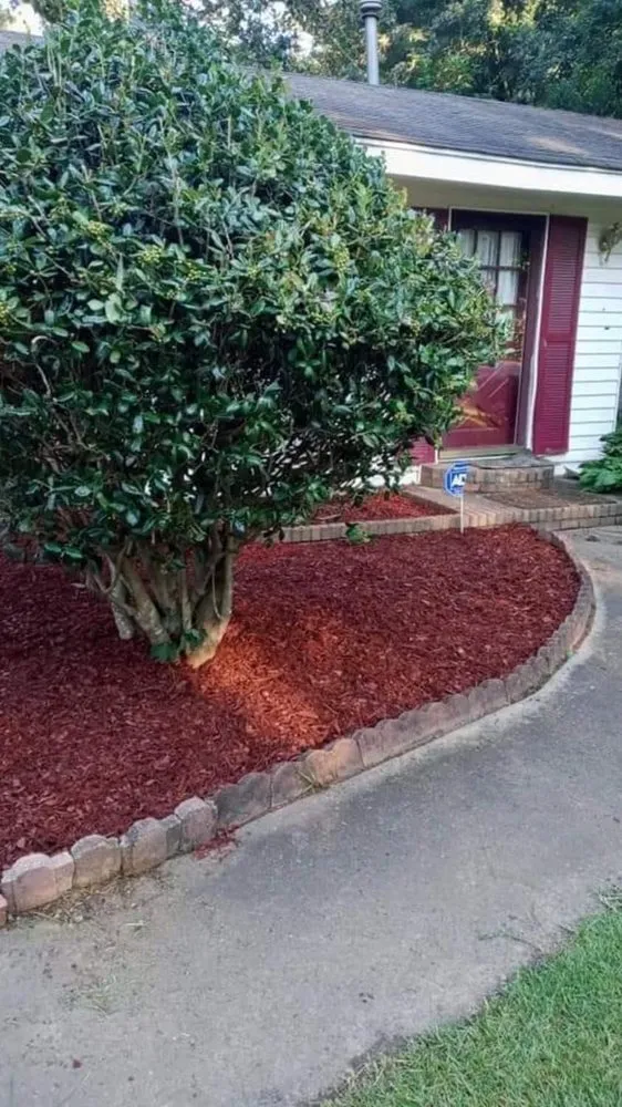 Local lawn care service in Griffin, GA - Harris Landscape & Design