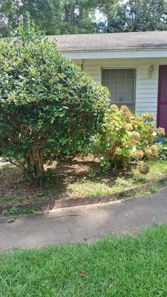 Trusted garden landscaping for year-round maintenance in Griffin, GA by Harris Landscape & Design