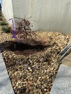 Harris Landscape & Design Logo