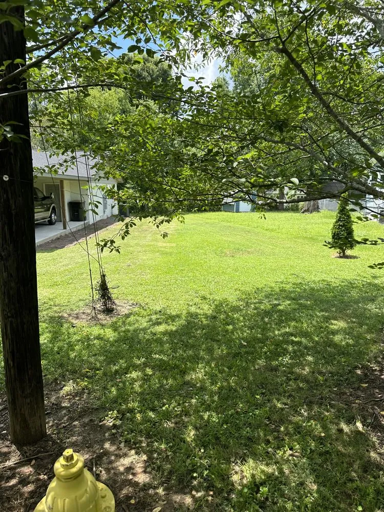 Custom lawn care service for homes across Hanceville, AL - Harris Landscape and Design