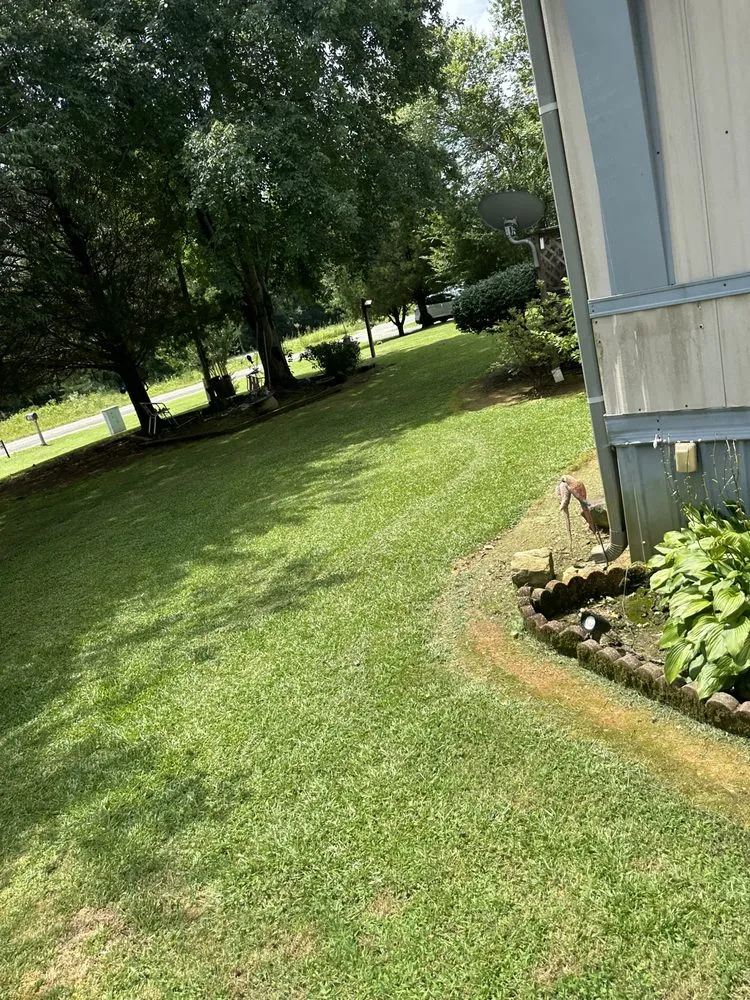 Expert yard cleanup service in Hanceville, AL by Harris Landscape and Design