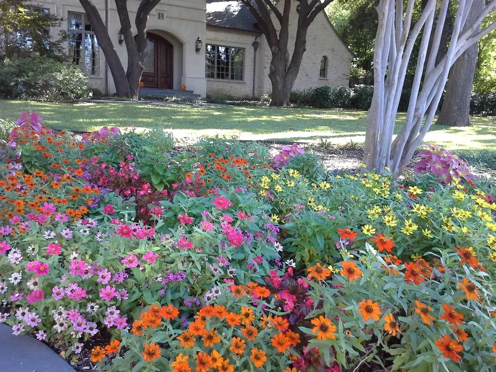 Affordable lawn mowing service for residential properties across Plano, TX - Harris Landscape and Sprinkler