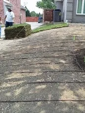 Professional landscape installation in Plano, TX by Harris Landscape and Sprinkler