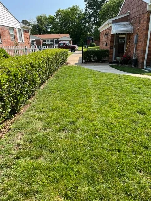 Custom yard maintenance experts serving Chesapeake, VA - Harris Landscapes
