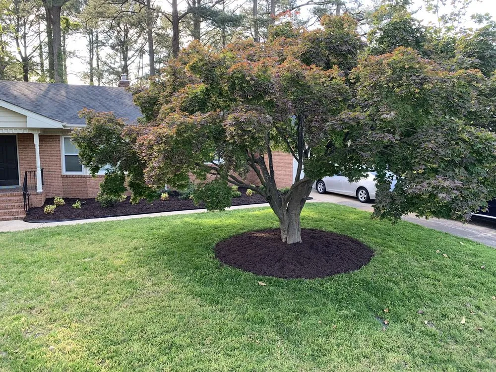 Top-rated landscape installation in Chesapeake, VA by Harris Landscapes