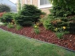 Reliable yard cleanup service for beautiful yards across Batesville, MS - Harris Landscaping & More