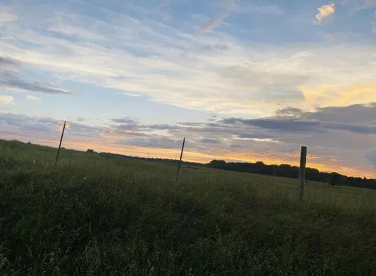 Harris Landscaping & More