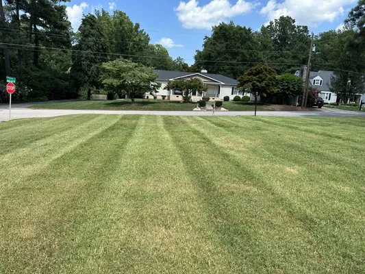 Harris Landscaping 19