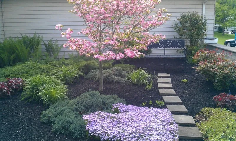 Expert landscaping services for beautiful yards in Carlisle, PA by Harris Landscaping