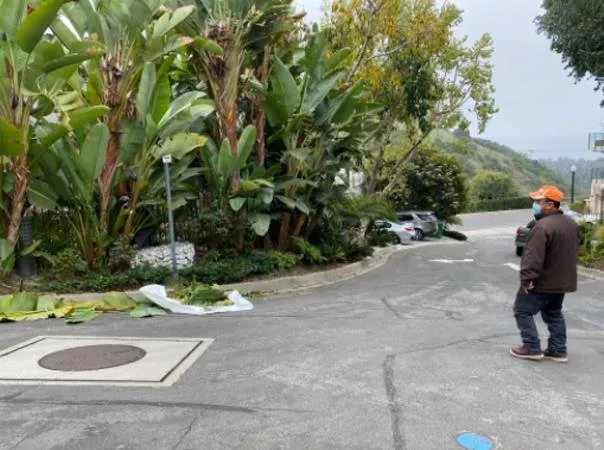 Trusted residential landscaping for beautiful yards across Corona, CA - Harris Landscaping