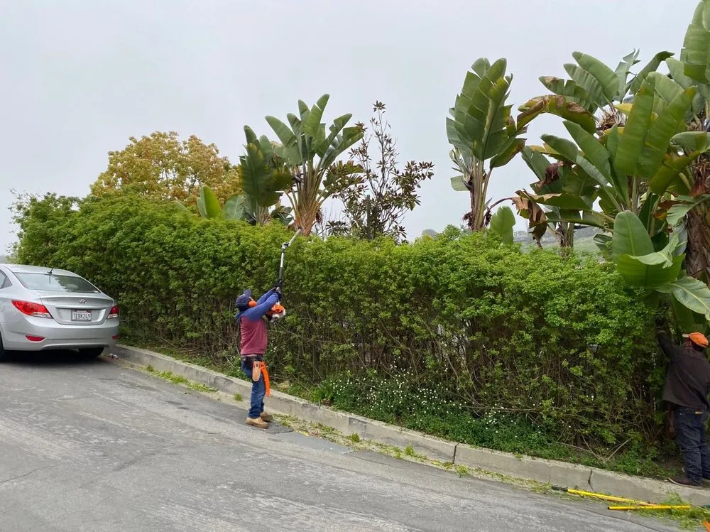 Local garden landscaping experts serving Corona, CA - Harris Landscaping