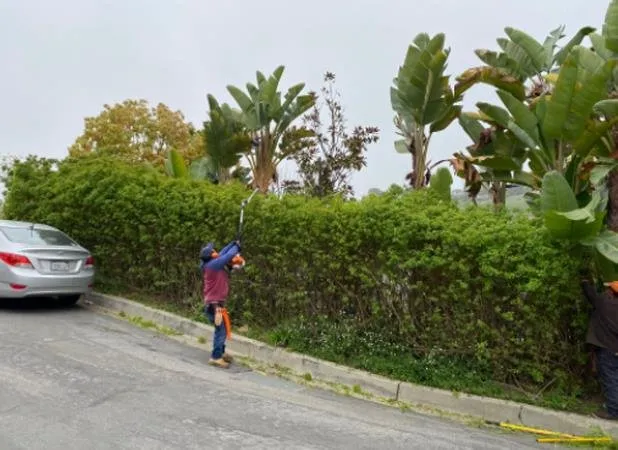 Local landscape design experts serving Corona, CA - Harris Landscaping