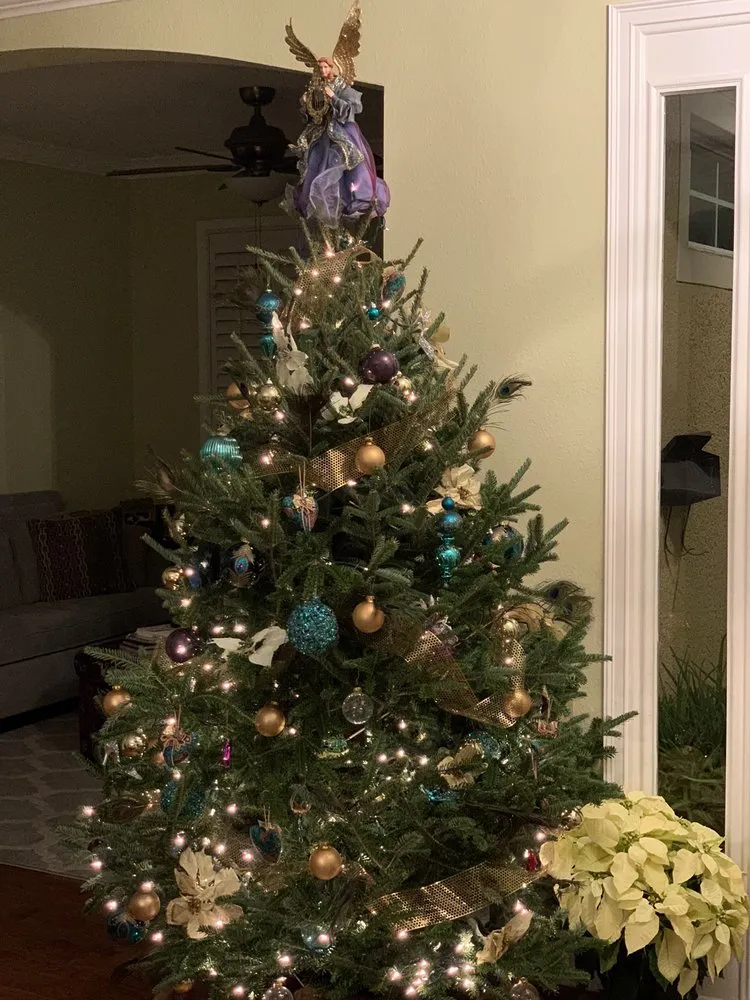 Custom yard maintenance for homes in Orlando, FL by Harris Landscaping Services & Garden Center