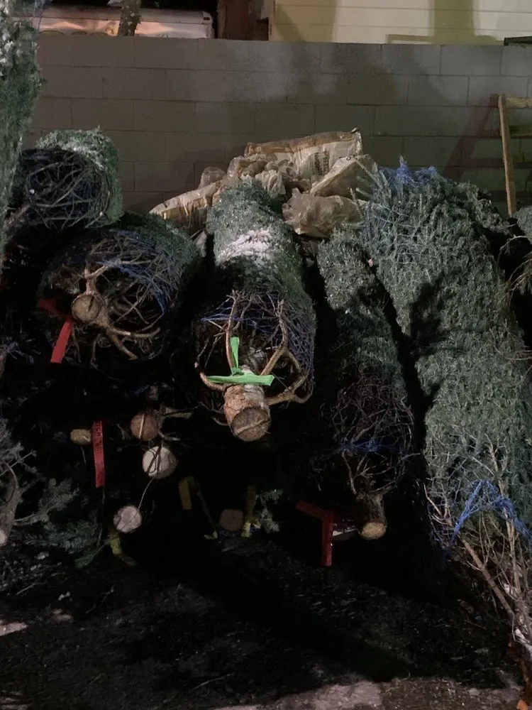 Reliable outdoor landscaping in Orlando, FL by Harris Landscaping Services & Garden Center