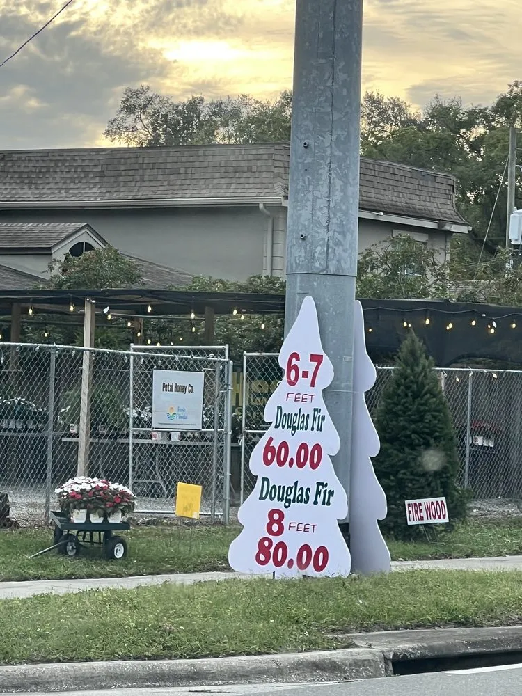 Reliable yard cleanup service in Orlando, FL by Harris Landscaping Services & Garden Center