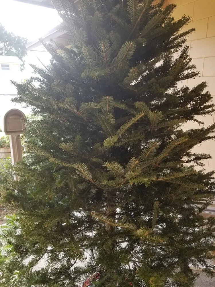 Local landscape design experts serving Orlando, FL - Harris Landscaping Services & Garden Center