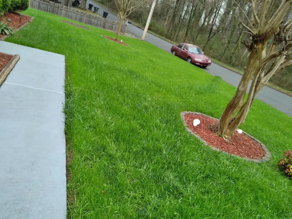 Expert outdoor landscaping for outdoor upgrades in Burlington, NC by Harris Landscaping Services