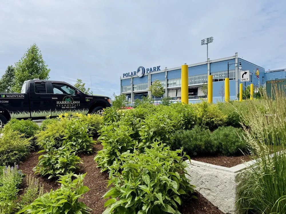 Professional landscape design in Worcester, MA - Harris Lawn & Landscape