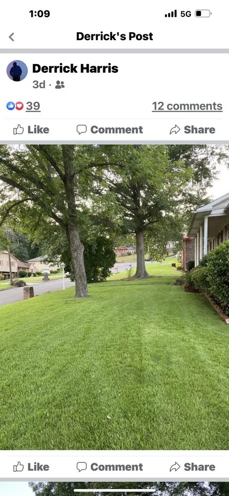 Professional yard maintenance in Birmingham, AL by Harris Lawn & landscaping