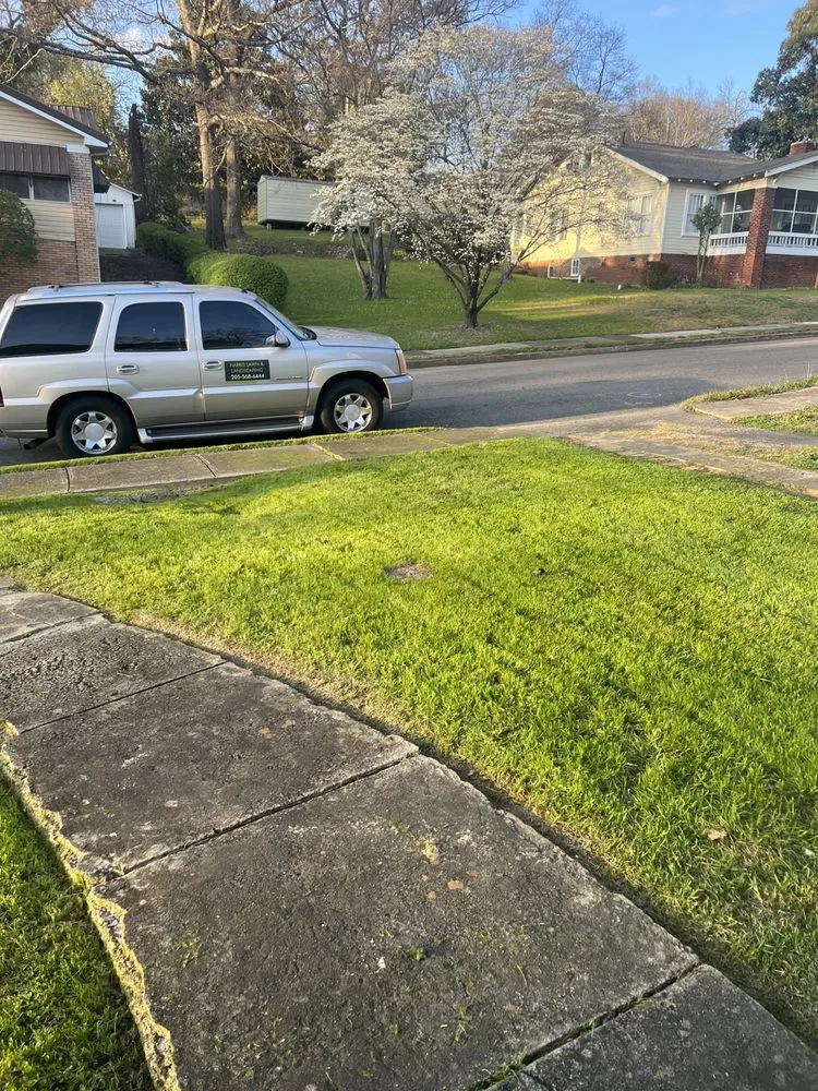 Local landscape installation for outdoor upgrades in Birmingham, AL by Harris Lawn & landscaping