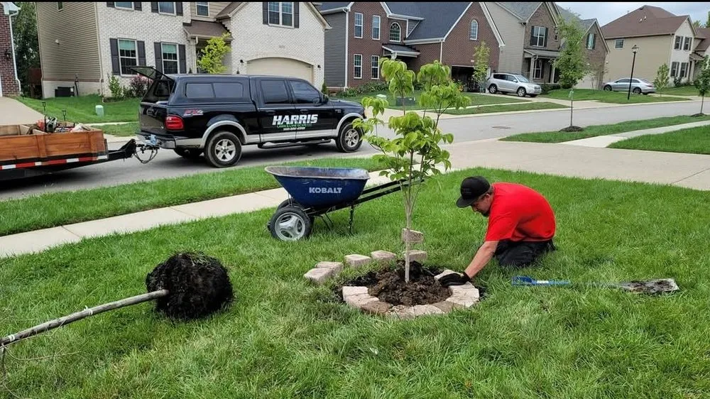 Reliable landscaping services experts serving Louisville, KY - Harris Lawn And Landscape