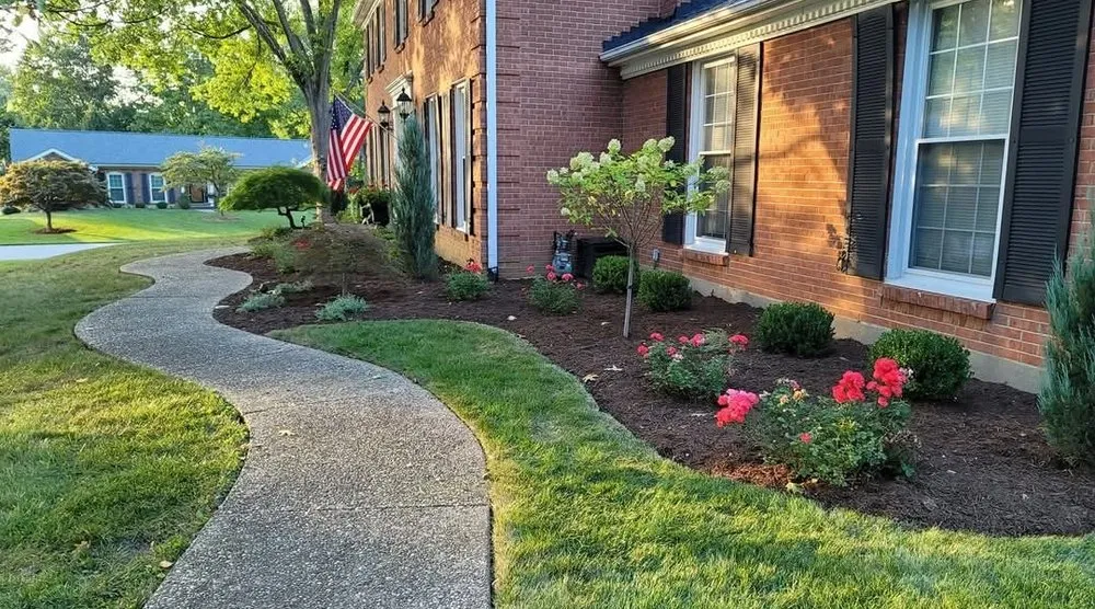 Reliable yard cleanup service in Louisville, KY - Harris Lawn And Landscape