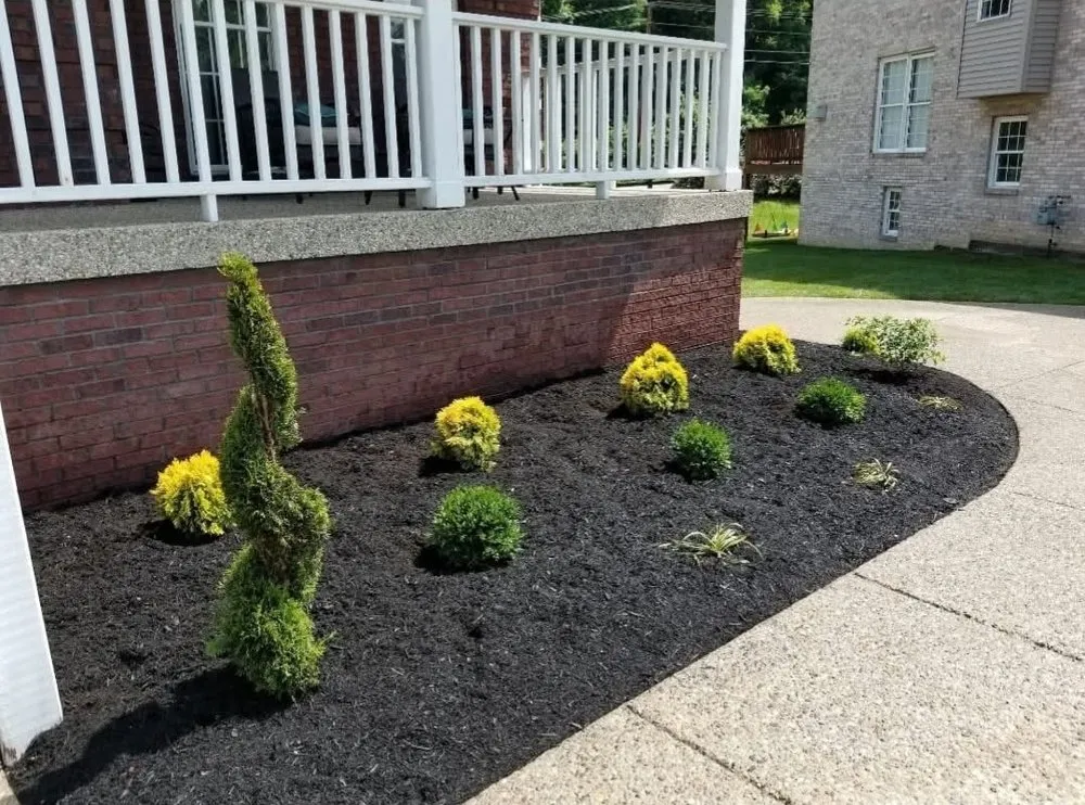 Trusted lawn mowing service for year-round maintenance in Louisville, KY by Harris Lawn And Landscape