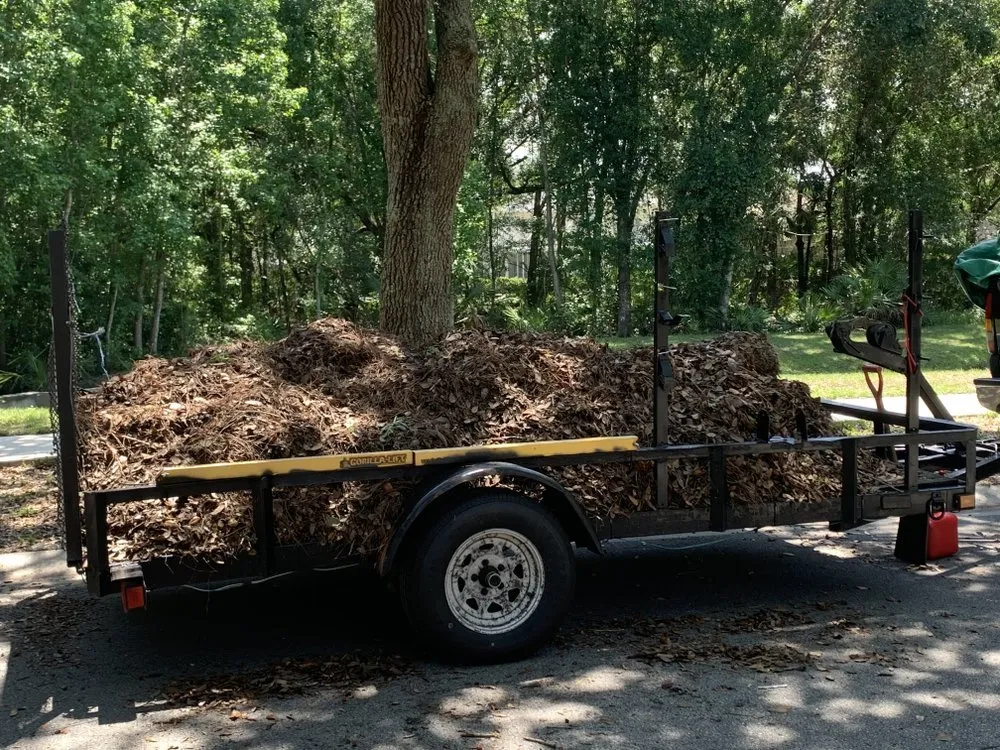 Trusted lawn care service for beautiful yards across Brockport, NY - Harris Lawn and Landscapes