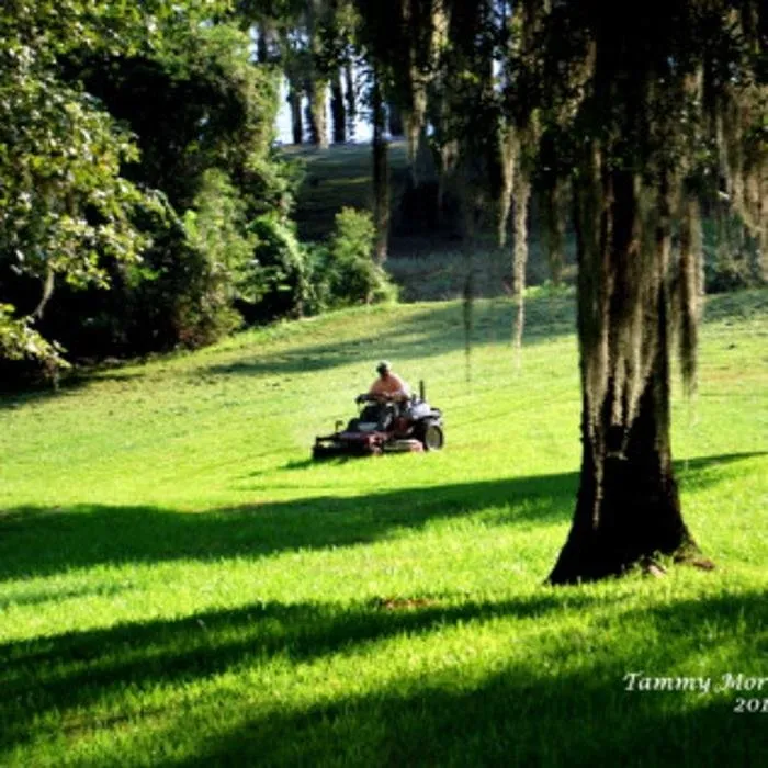 Professional residential landscaping in Bossier City, LA by Harris Lawn Care