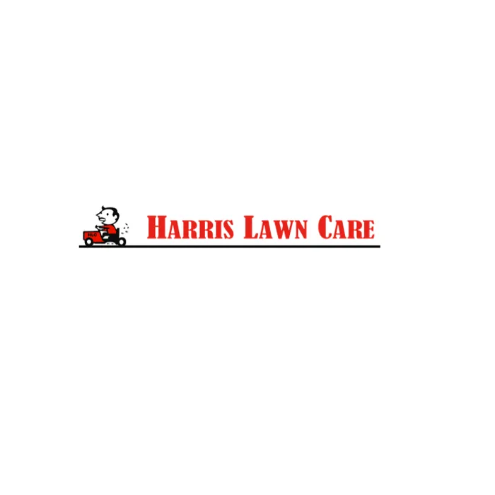 Top-rated yard cleanup service for year-round maintenance in Bossier City, LA by Harris Lawn Care