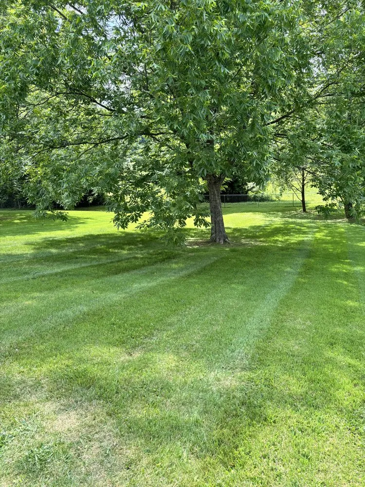 Custom yard cleanup service experts serving Johnson City, TN - Harris Lawn Care