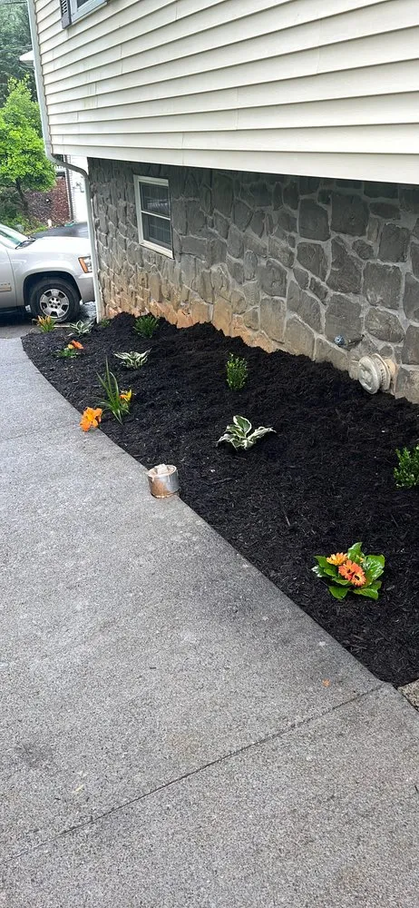 Professional lawn mowing service in Johnson City, TN - Harris Lawn Care