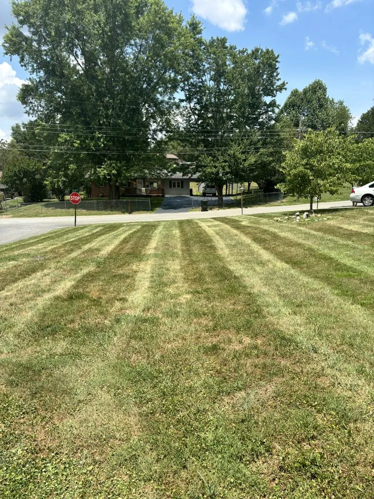 Top-rated lawn care service with custom design across Johnson City, TN - Harris Lawn Care