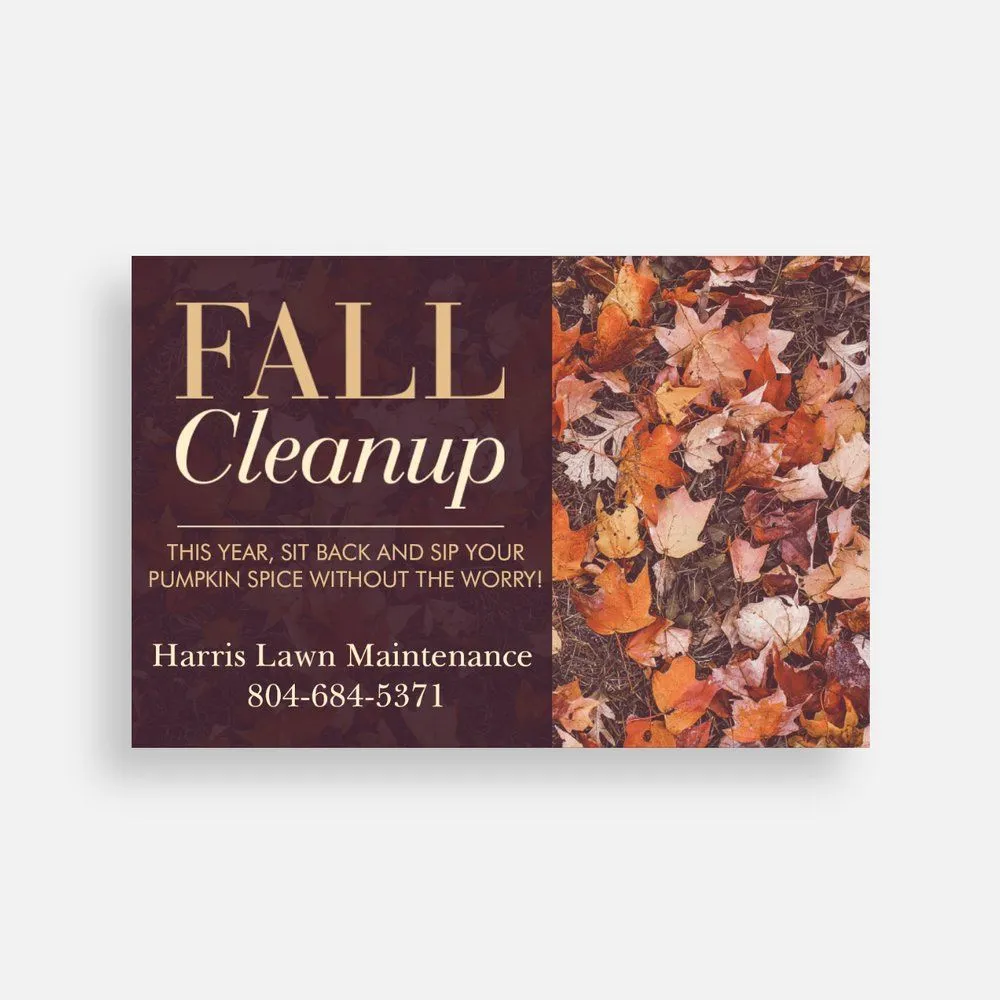 Expert yard cleanup service near you in Gloucester Point, VA by Harris Lawn Maintenance